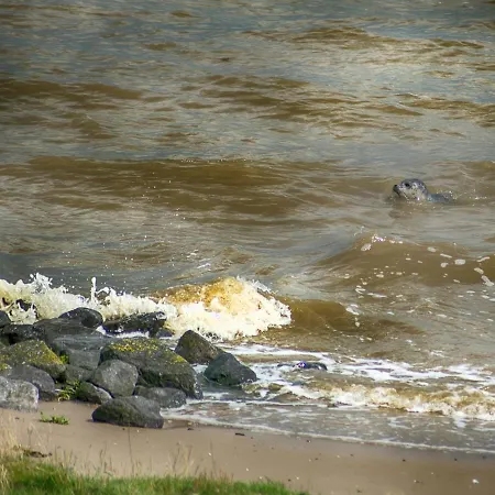 Lägenhet Zur Muehle *